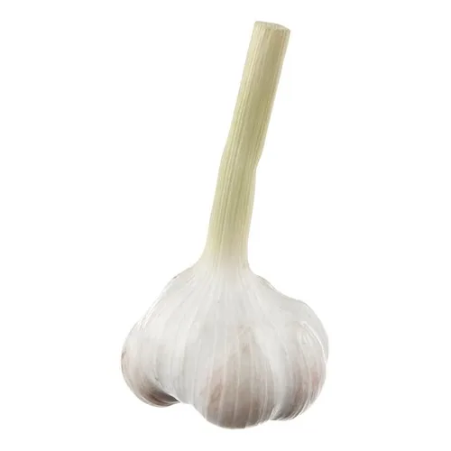 381862 Ail frais (1kg) - Image 1