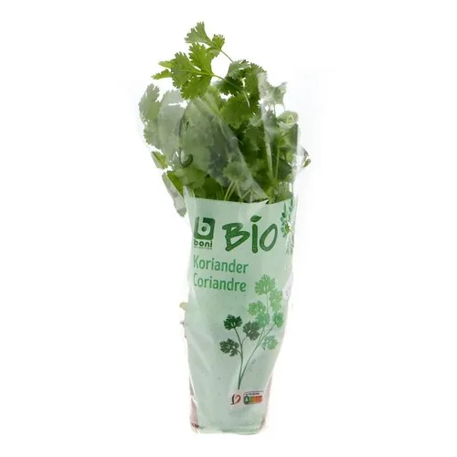 4084572 BONI BIO coriandre plante 1pc – Image 1
