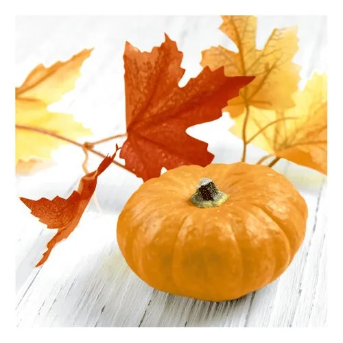 DUNI serv. Pumpkin Leaf 3l 24x24cm 20st